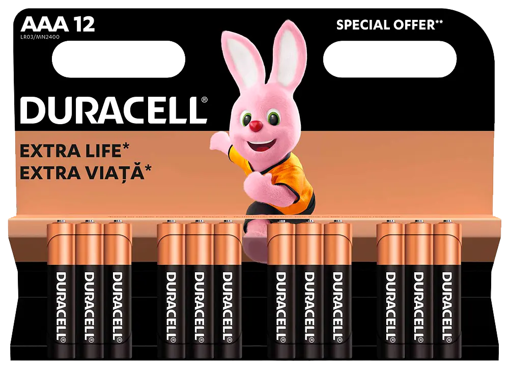 Лужні батареї Duracell AAA, 12 шт. (6409626)