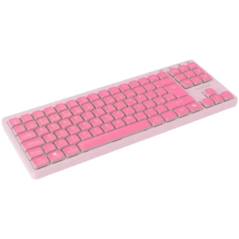 Клавіатура Canyon OnType 10 TKL Mechanical Silent Low-profile USB UA Pink (CNS-HKB10P) - фото 3