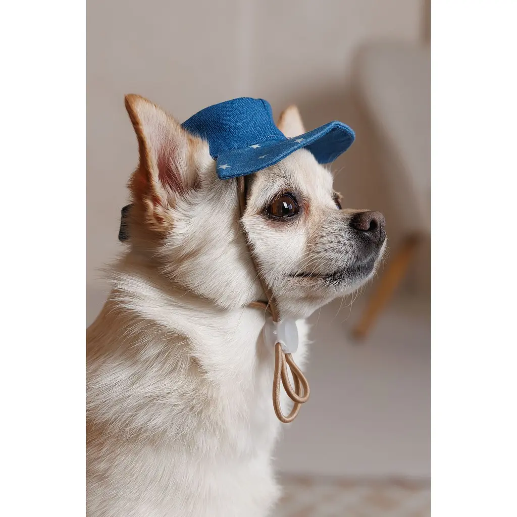 Панама Pet Fashion Stars для собак S - фото 7