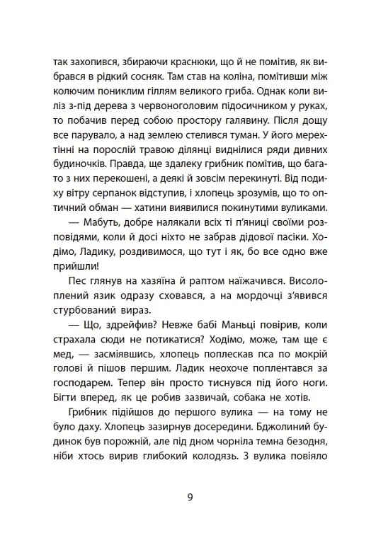 Таємниця химерної пасіки, або Шалені шершні - фото 13