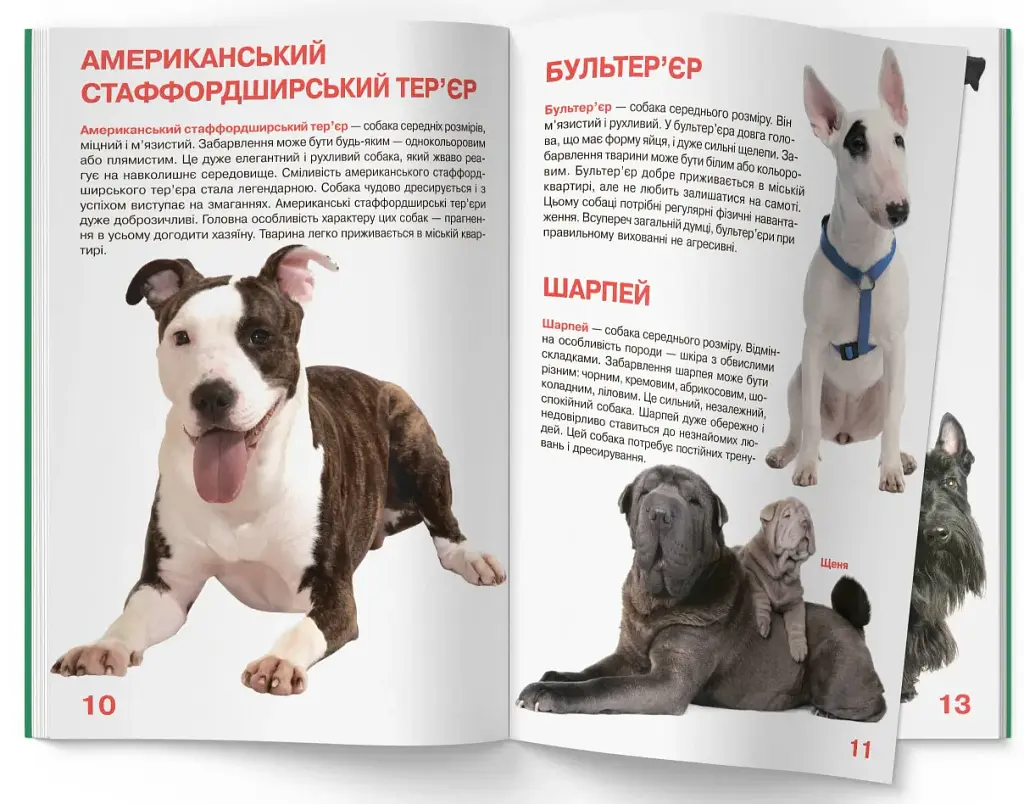 Велика книжка. Собаки - Олег Зав'язкин - фото 3