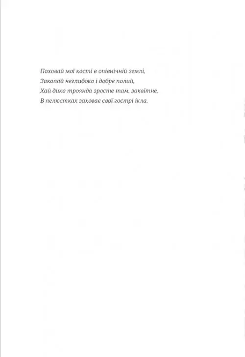 Поховай наші кості в опівнічній землі - фото 4