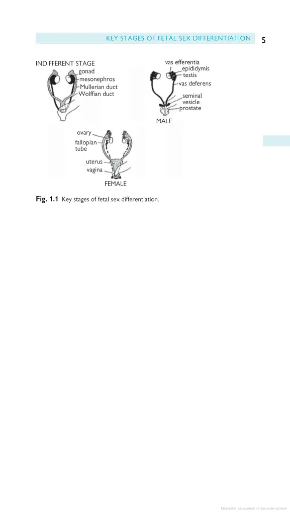 Oxford Handbook of Reproductive Medicine and Family Planning - фото 8
