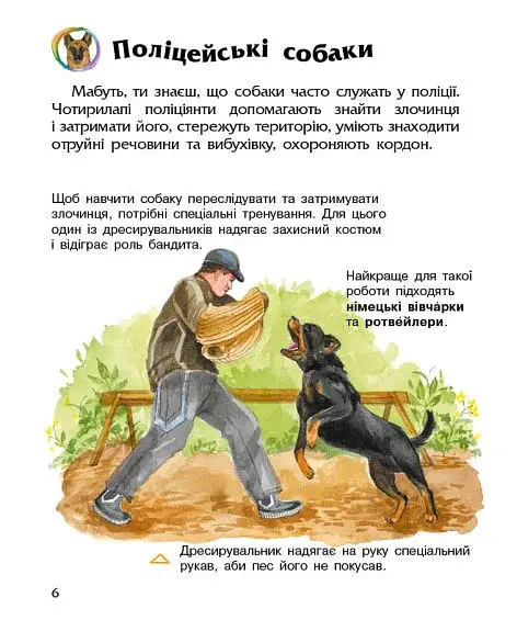 Енциклопедія дошкільника: Собаки - фото 4