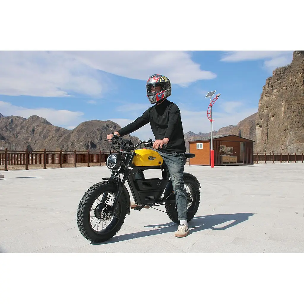 Електровелосипед Akez Tank Dual Motor Black [169139] - фото 5