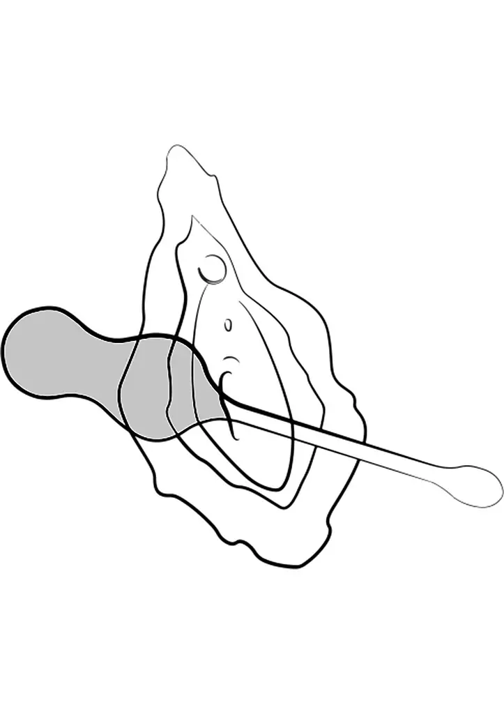 Вагинальные шарики с вибрацией Romp Cello, 18.2 см (бирюзовый) - фото 10