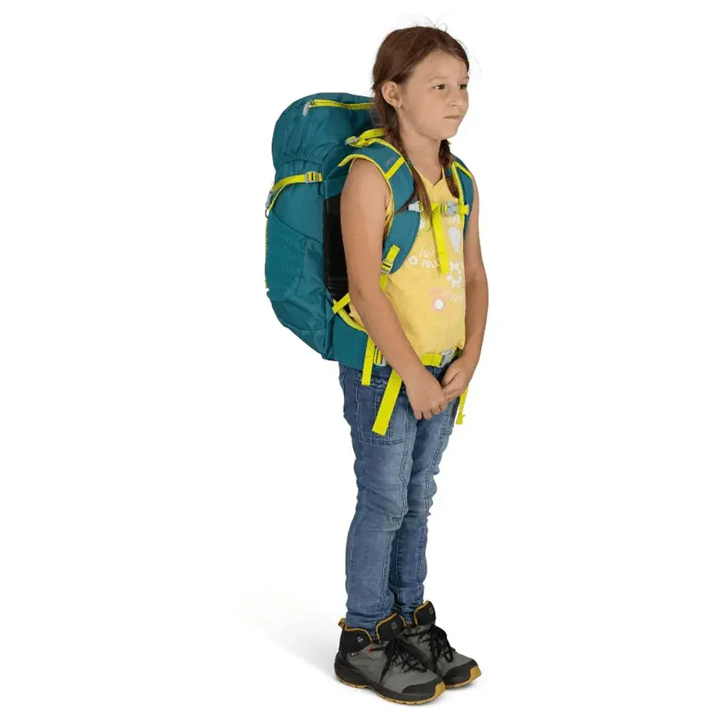 Рюкзак Osprey Jet 28 - фото 4