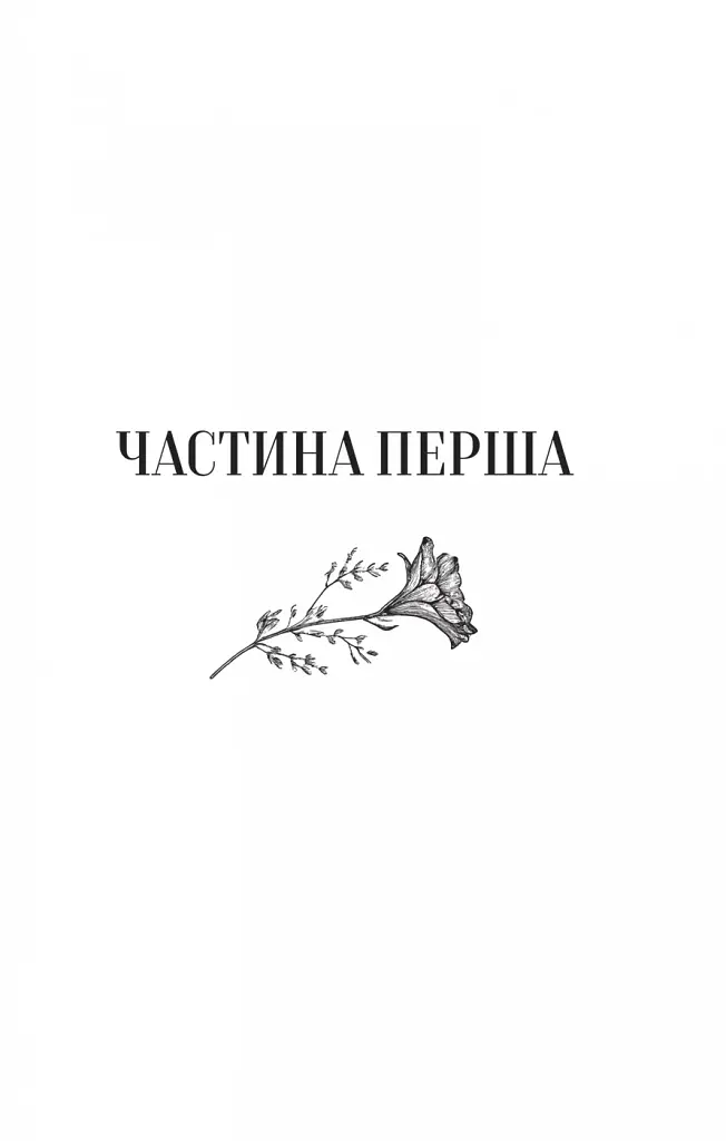 Те, що видно звідси - фото 4