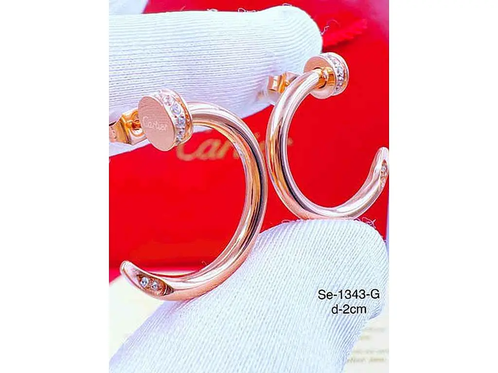 Сережки Stainlees Steel 1 343