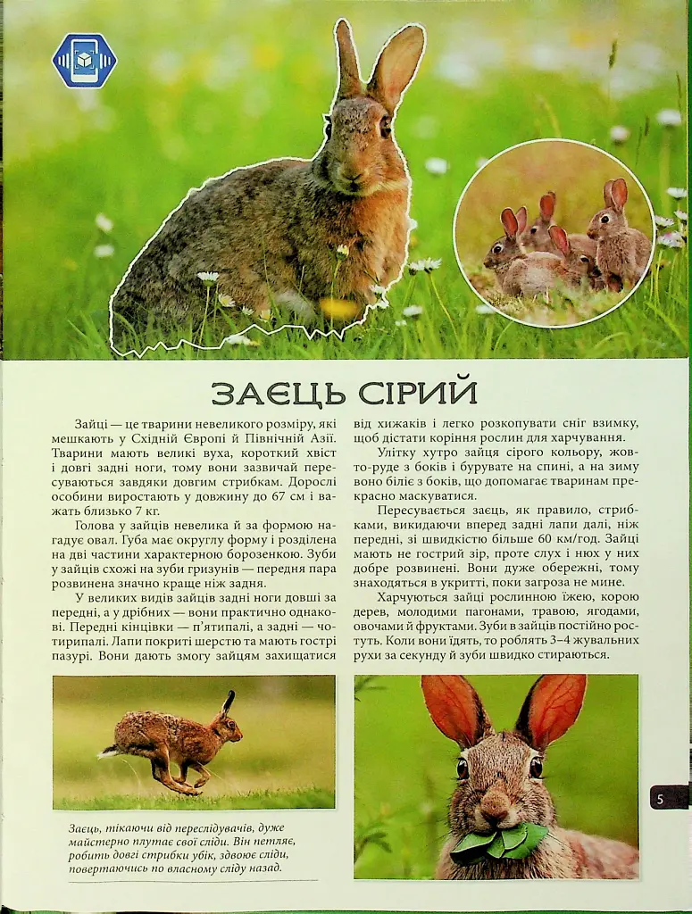 4D Книга Тварини України - фото 3