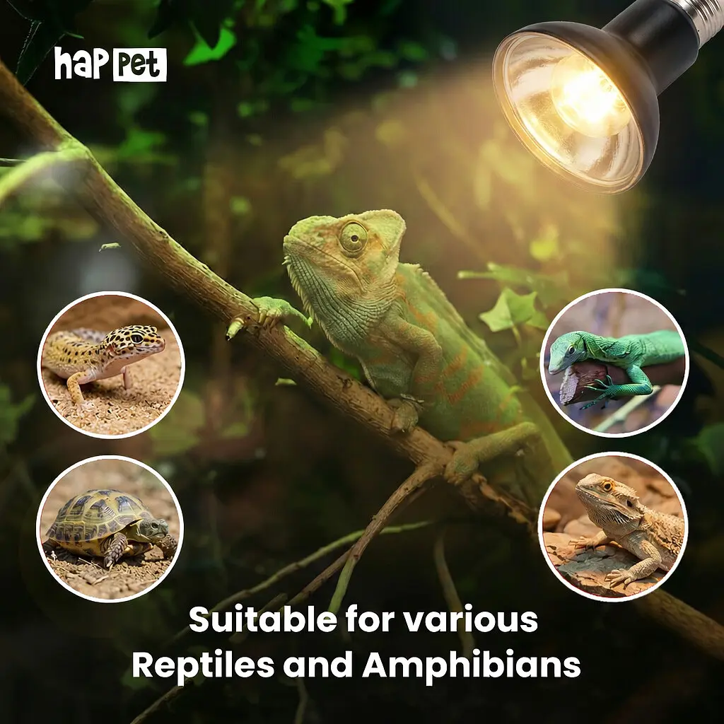 Лампа денного світла Terra Day, 100W Happet, (BN04) - фото 3