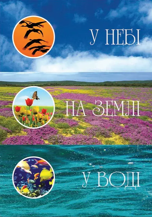 Я досліджую світ. 1-4 класи. Дивокрай. Частина 2 - Ігор Січовик - фото 2