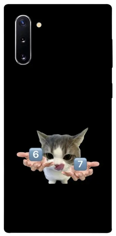 Чохол Demsky Six Seven cat для Samsung Galaxy Note 10