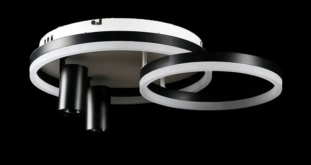 Люстра стельова LED Splendid Ray L2464/550/2+2, 4 лампи, білий/чорний, димер, сучасний стиль - фото 2