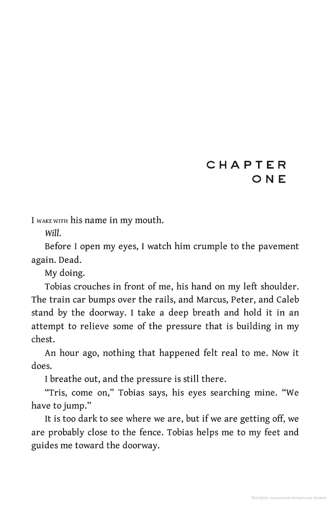 Insurgent. Book 2 - фото 6