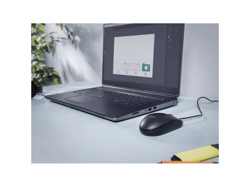 Миша Trust BASI USB BLACK (24271) - фото 3
