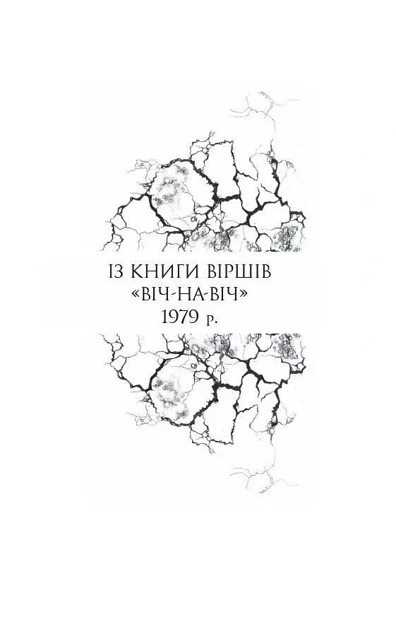 Авісага. Любовна лірика. Вибране - Федюк Тарас - фото 3