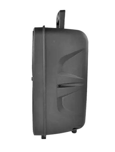 Колонка Big PK-07 bluetooth + микрофон (248*189*371) USB/MO3/FM/TWS black - фото 2