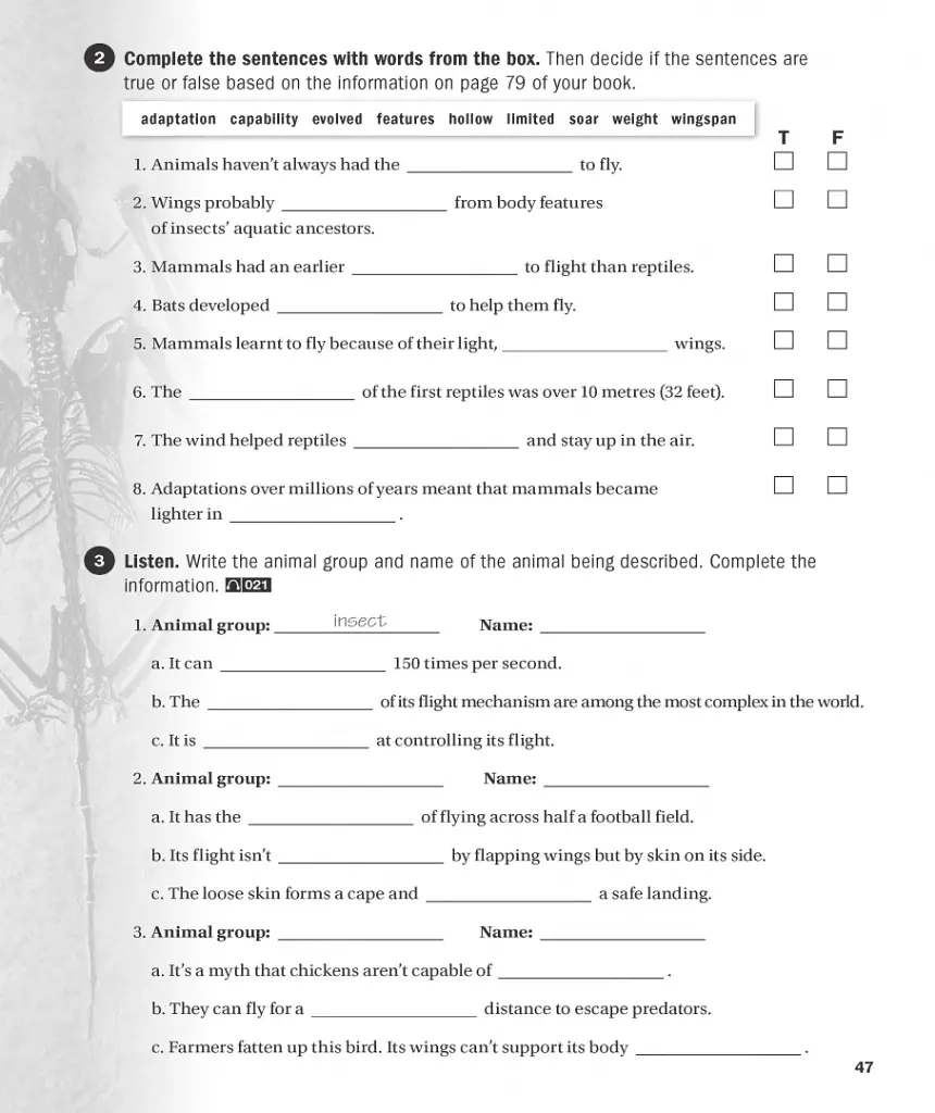 Impact. Level 3. Workbook with Audio CD - Діана Пінклі - фото 6