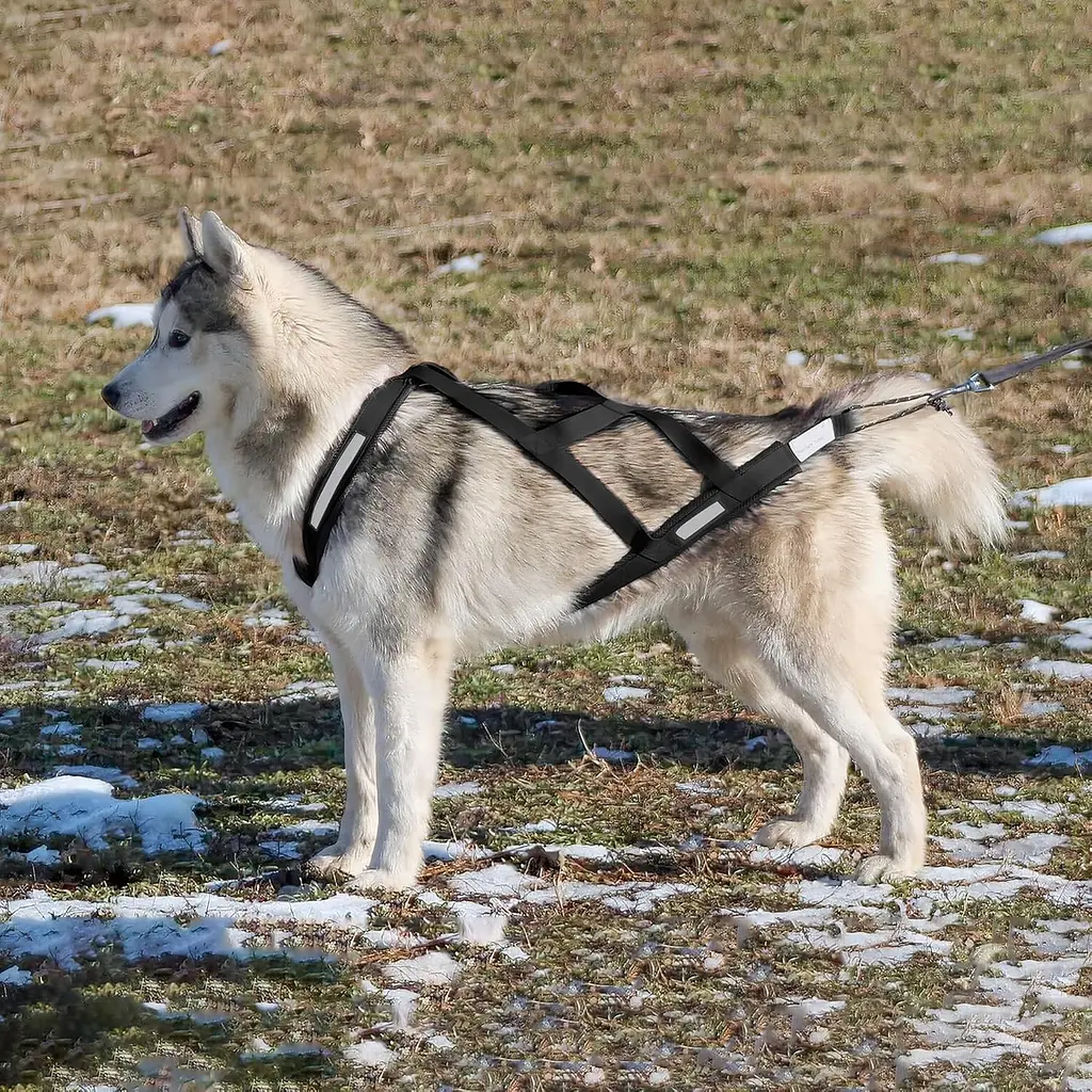 Тягова шлейка для собак V.PET.B.R H6, 2XL Чорний - фото 5