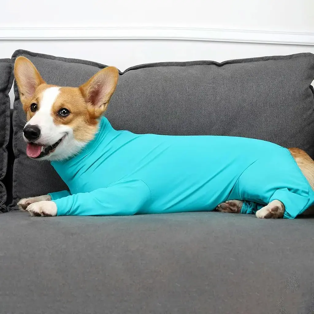 Комбінезон для відновлення собак Derby Pet Recovery Suit, Turquoise, 3XL - фото 6