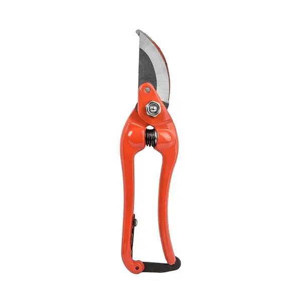 Секатор садовий Bradas RG LINE 8" PROFI нержавіюча сталь KT-RG1027/8