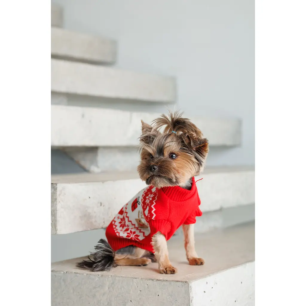 Светр плетений для собак Pet Fashion Winter S червоний - фото 6