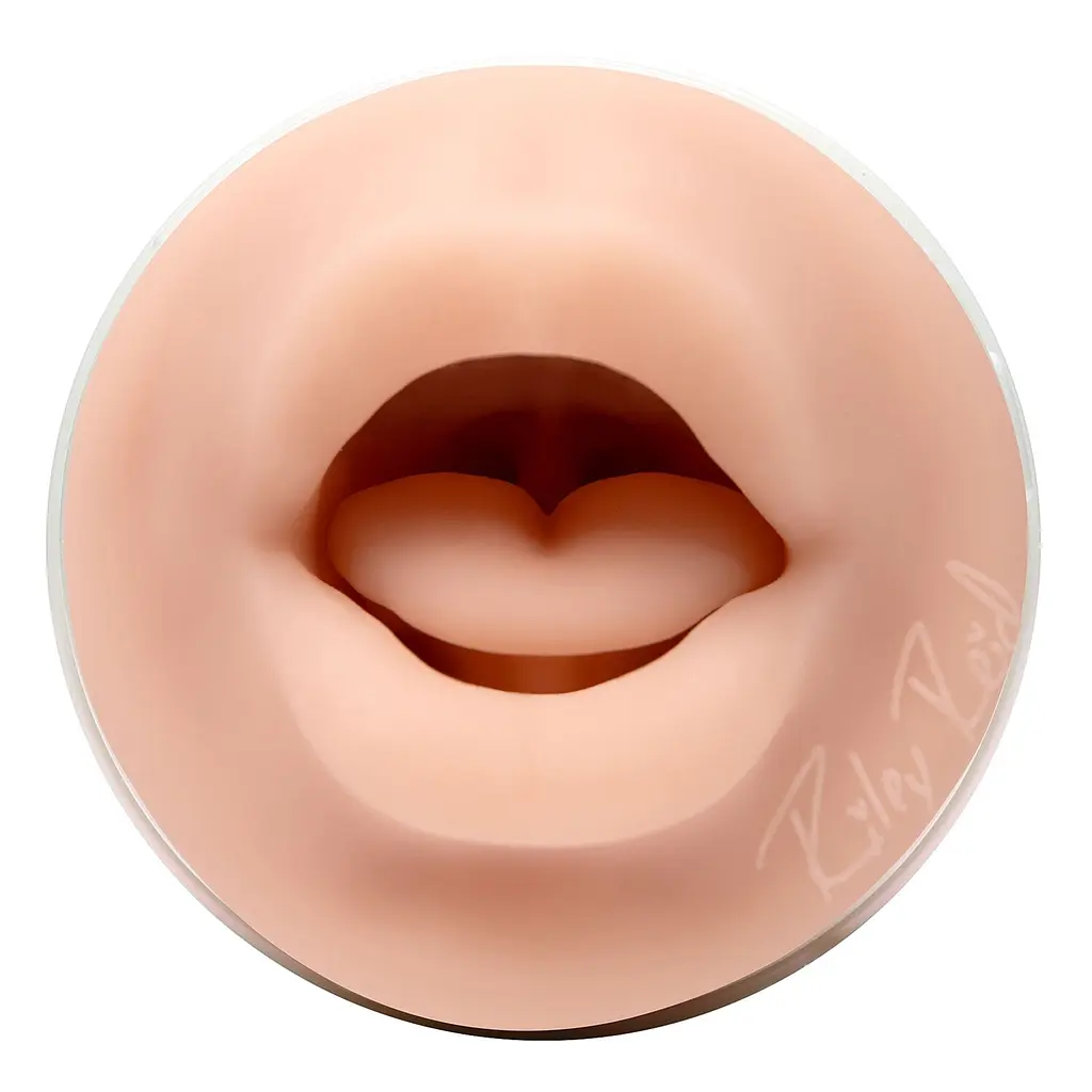 Мастурбатор-ротик Fleshlight Girls Riley Reid Insomnia - фото 3