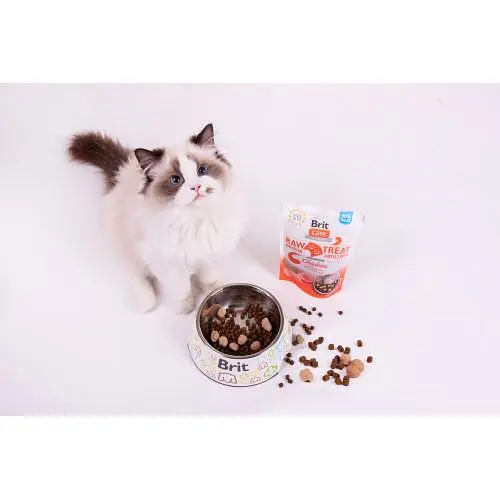 ласощі для кішок Brit Raw Treat Indoor & Antistress Freeze-dried з куркою, 40 г - фото 3