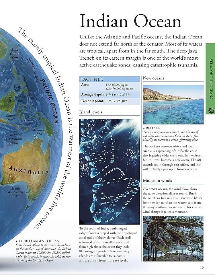 Ocean. A Children's Encyclopedia - фото 3