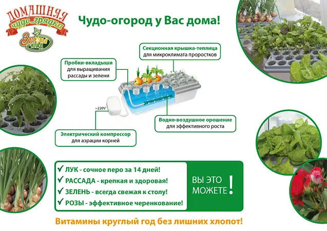 Домашня гідропонна установка Чудо-Грядка - фото 6