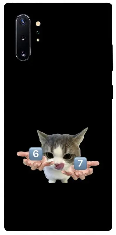Чохол Demsky Six Seven cat для Samsung Galaxy Note 10 Plus