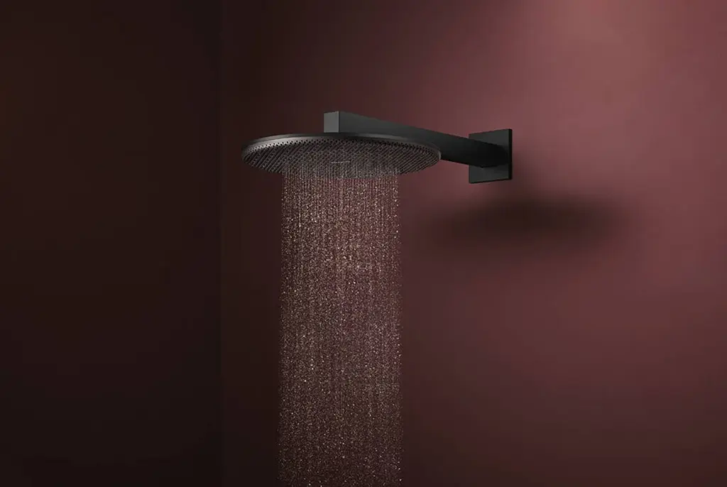 Верхній душ Hansgrohe Raindance Alive S 300 2jet EcoSmart з тримачем matt black 24541670 - фото 3