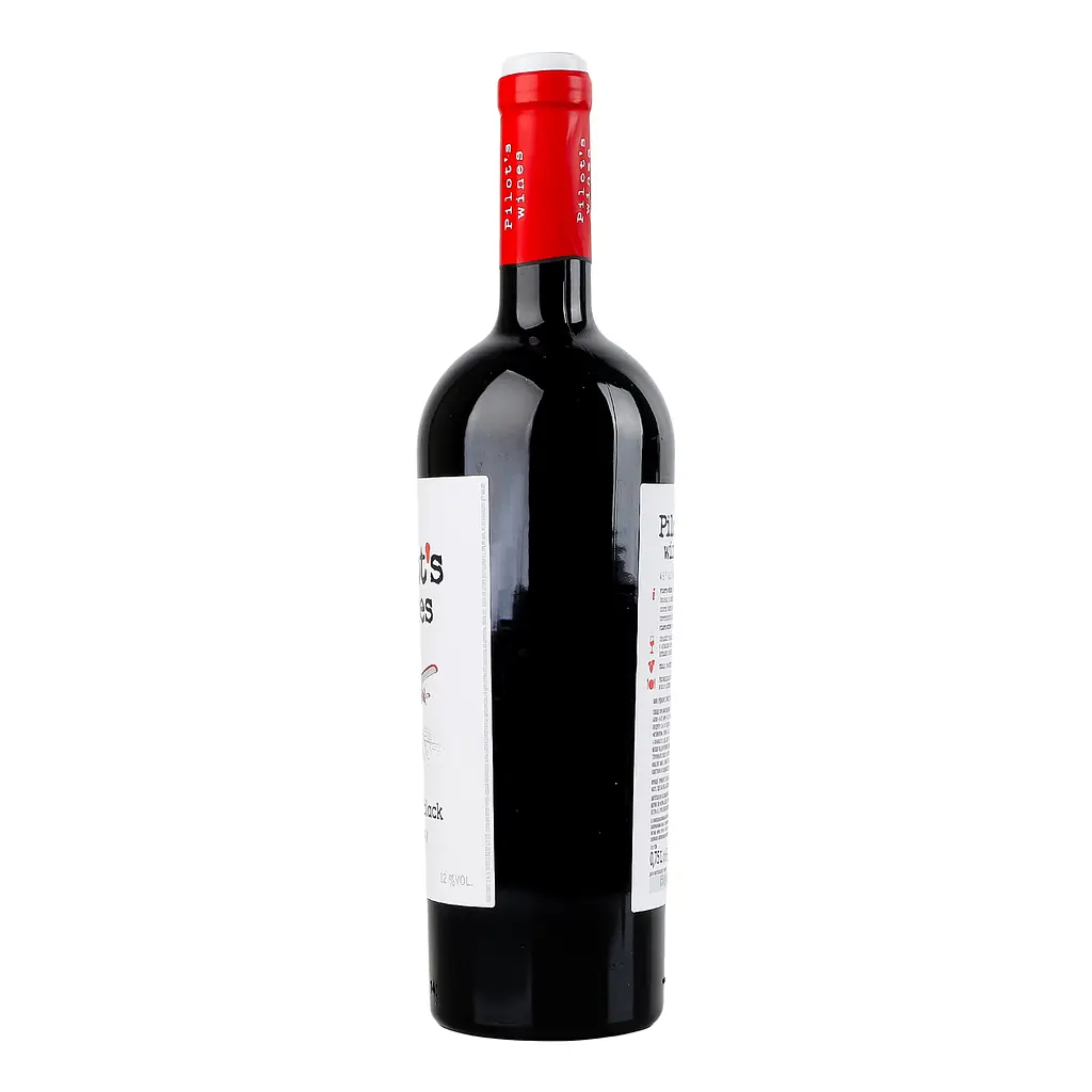 Вино Pilot’s Wines Odesa Black красное сухое 0.75 л - фото 3