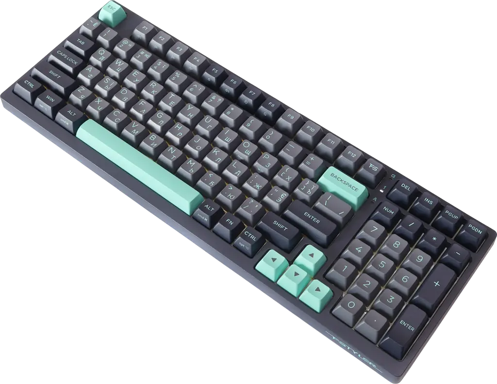 Клавіатура A4Tech Fstyler FS300 Panda Rock Climbing RGB Black - фото 2