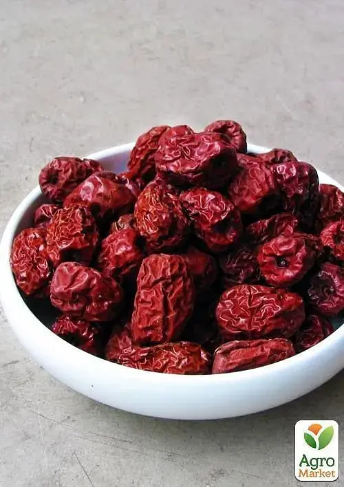 Саженец Agro-Market Зизифус Коктебель (перекрестное опыление сажать по 2 саженца разного сорта) 1 шт. в упаковке (25924) - фото 3