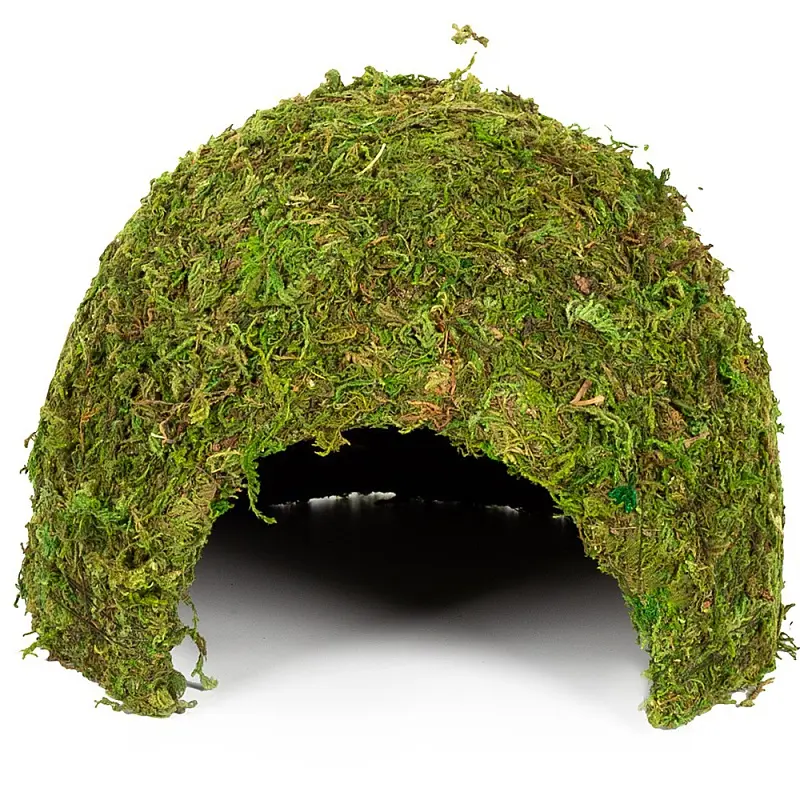 Схованка з моху Repti-Zoo Natural Mossy Dome L 22x17см ERS25L для тераріуму, рептилій і геконів, з живим мохом - фото 3