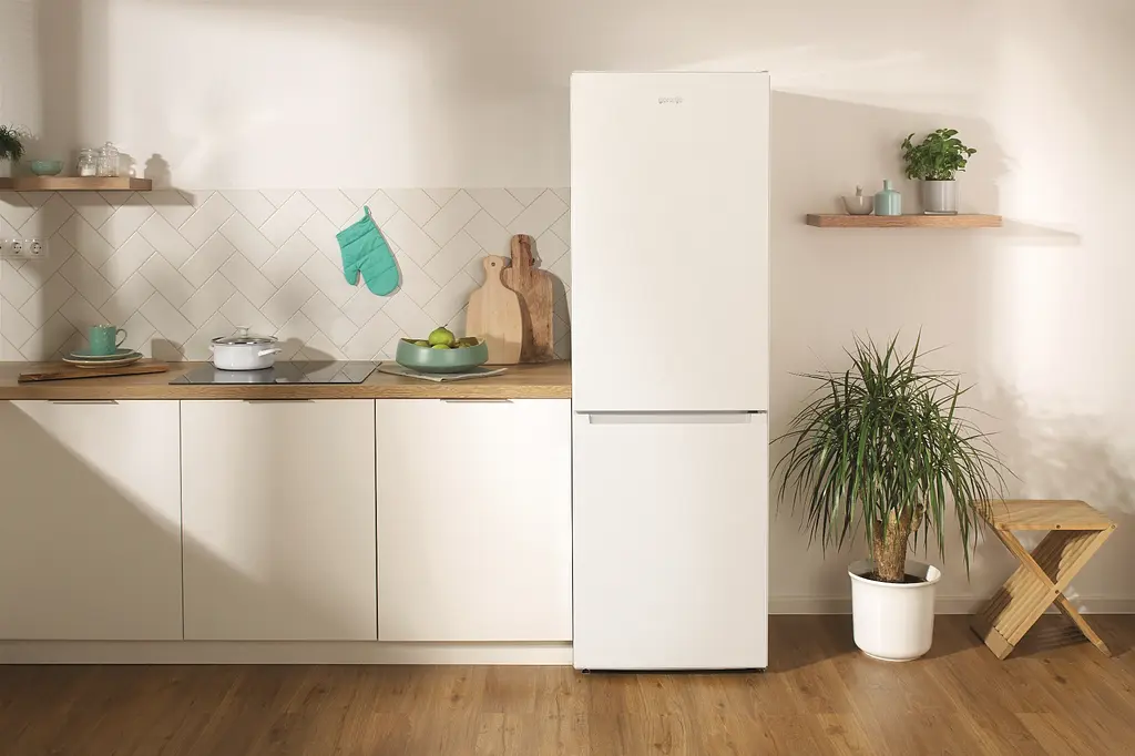 Холодильник Gorenje NRK6191PW4 185х60х60см 2 двері 203(99) л А+ NF+ режим (NRK6191PW4) - фото 15