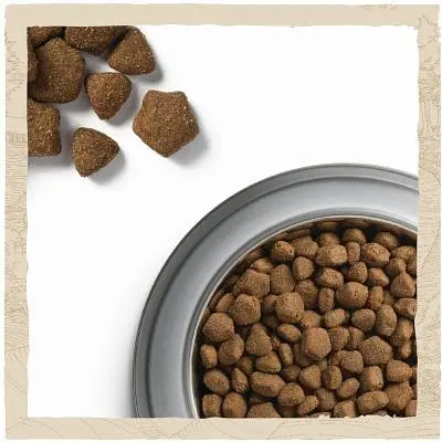 Сухий корм для собак Purina Dog Chow Adult Lamb зі смаком ягняти 14 кг (7613034487636) - фото 6