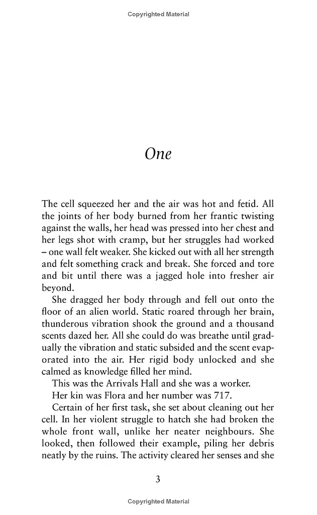 The Bees - фото 3