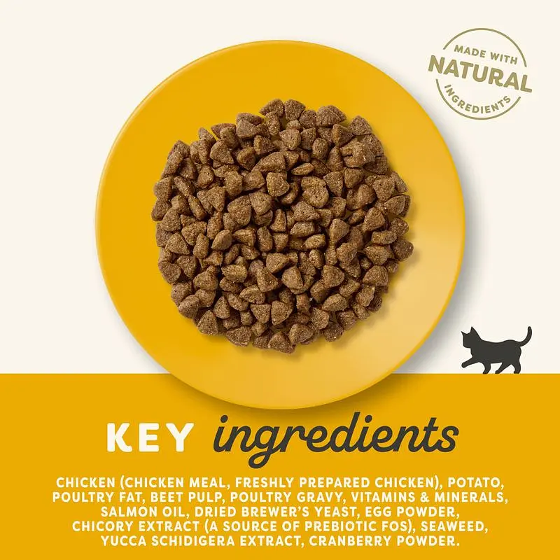 Сухий корм для кошенят Applaws Kitten Chicken + пробіотик, 400 г - фото 3