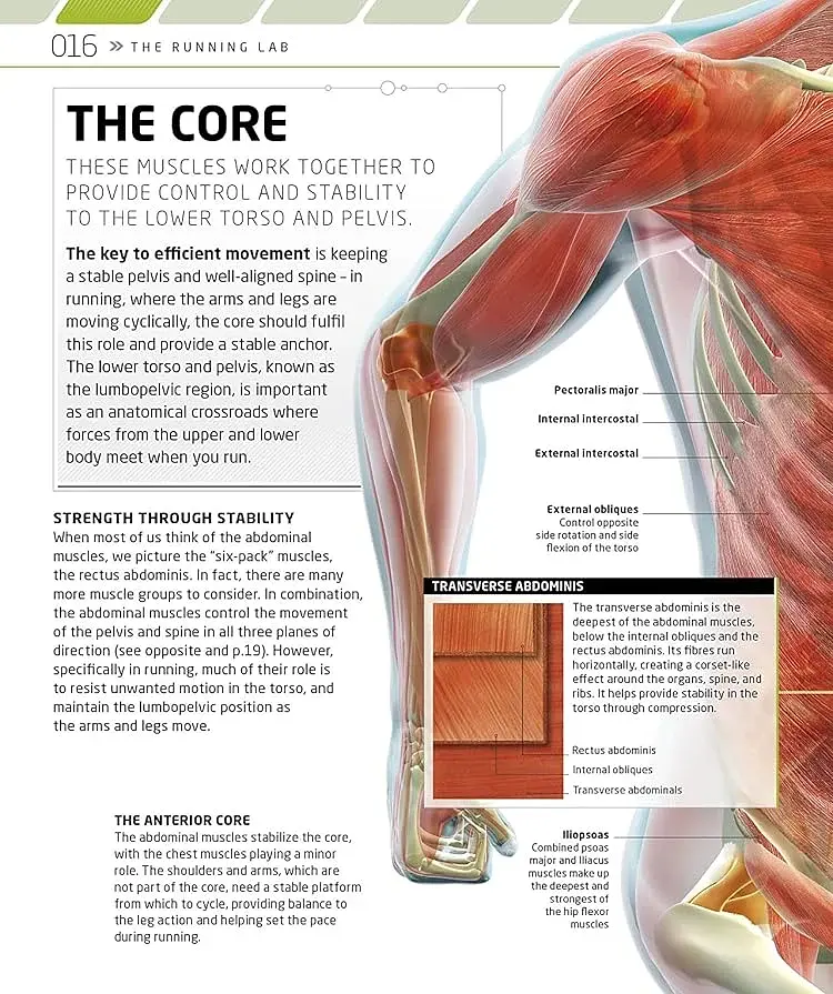 The Complete Running and Marathon Book - фото 2