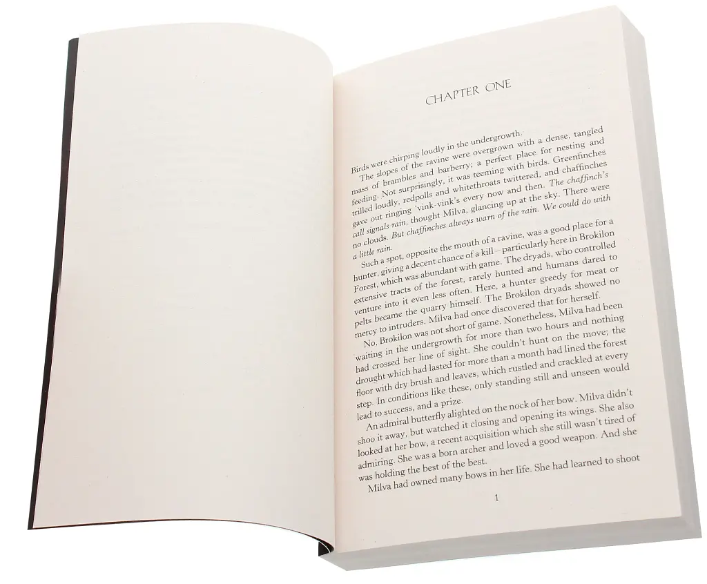 The Witcher. Baptism of Fire - фото 2