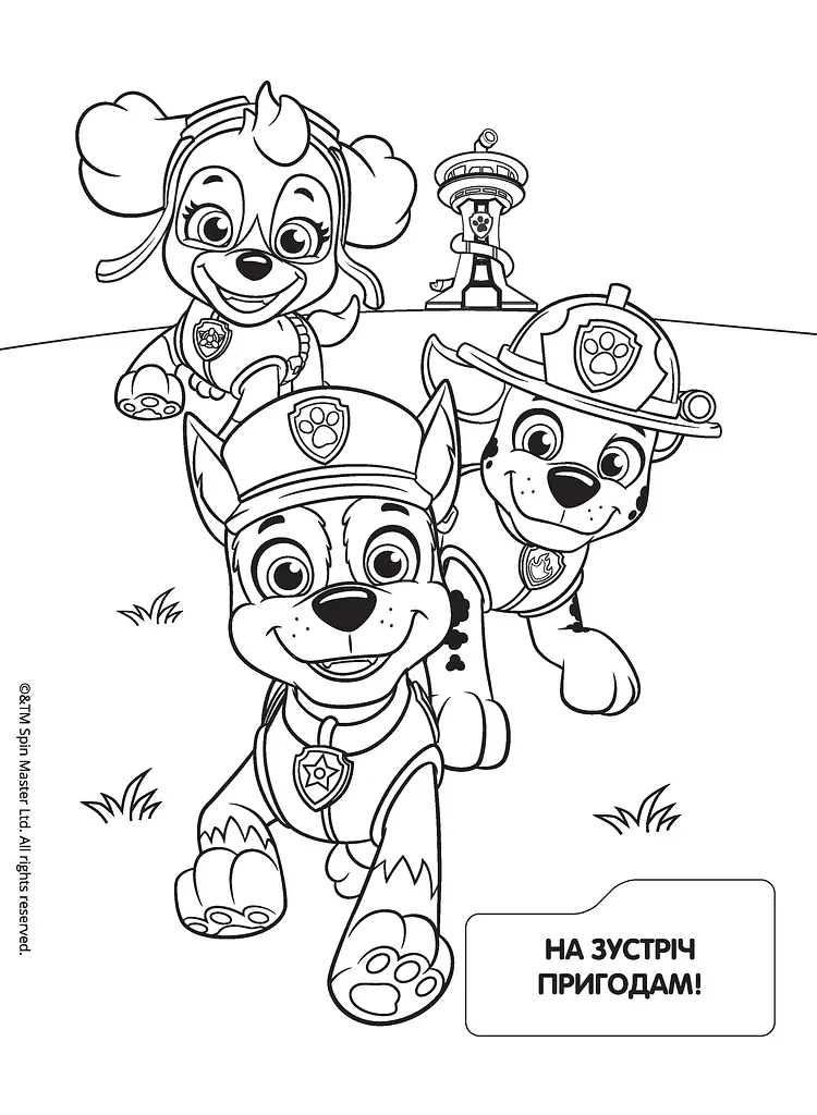 Водяная раскраска PAW Patrol синяя (121546) - фото 2