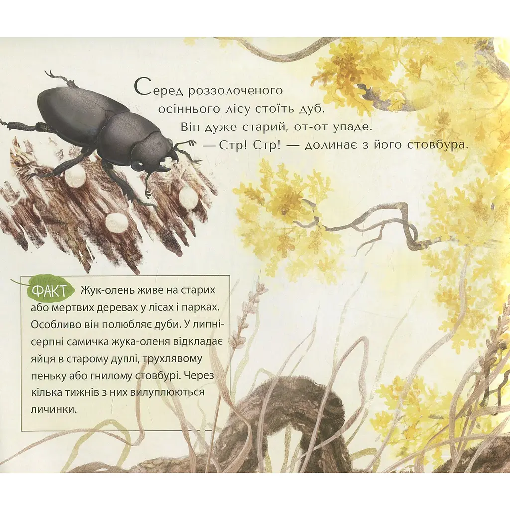 Дитяча книга Крокус Велике перевтілення - Валя Вздульська (9789669791207) - фото 2