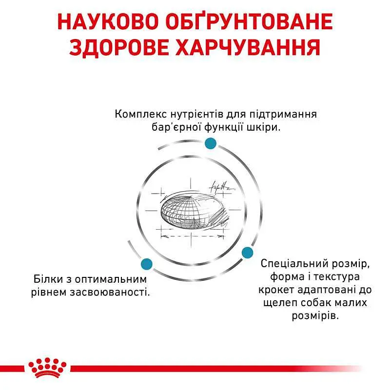 Сухой диетический корм для собак малых пород Royal Canin Skin Care Adult Small Dog при дерматозах и выпадении шерсти, 2 кг (40060201) - фото 5