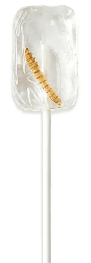 Льодяник із комахою Hotlix Tequila Flavored Lollipop with Real Worm Sugar-Free 28г - фото 2