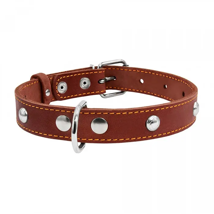 Нашийник Collar одинарний з прикрасами, 32-40х2 см, коричневий - фото 2