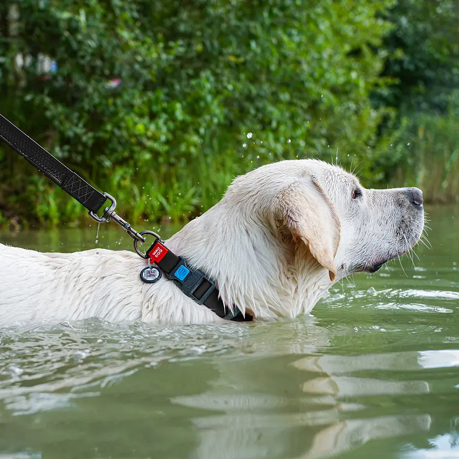 Нашийник для собак водостійкий Waudog Waterproof з QR-паспортом пластикова пряжка-фастекс Ш 25 мм Д 38-58 см чорний - фото 5