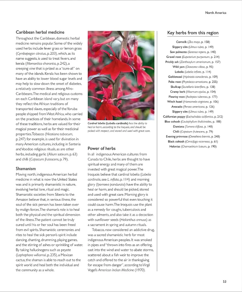 Encyclopedia of Herbal Medicine - фото 6